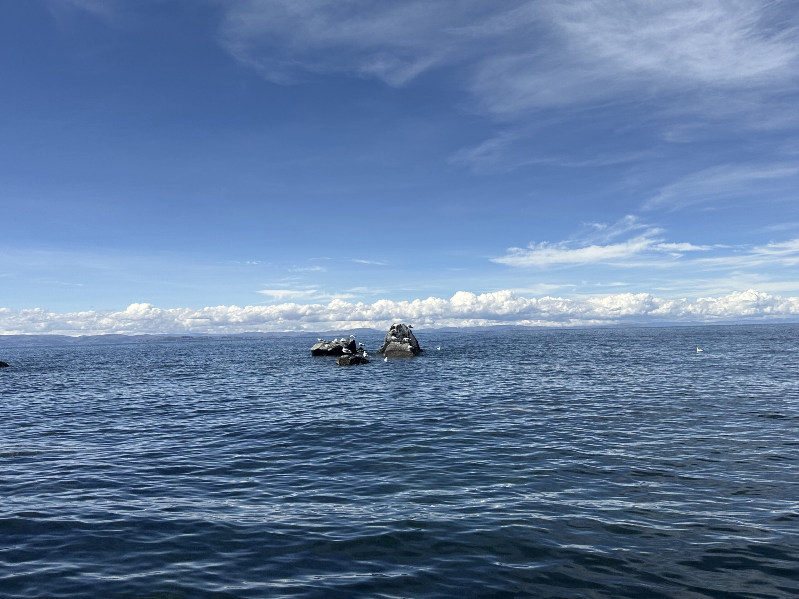 Observación de Estrellas en los Andes