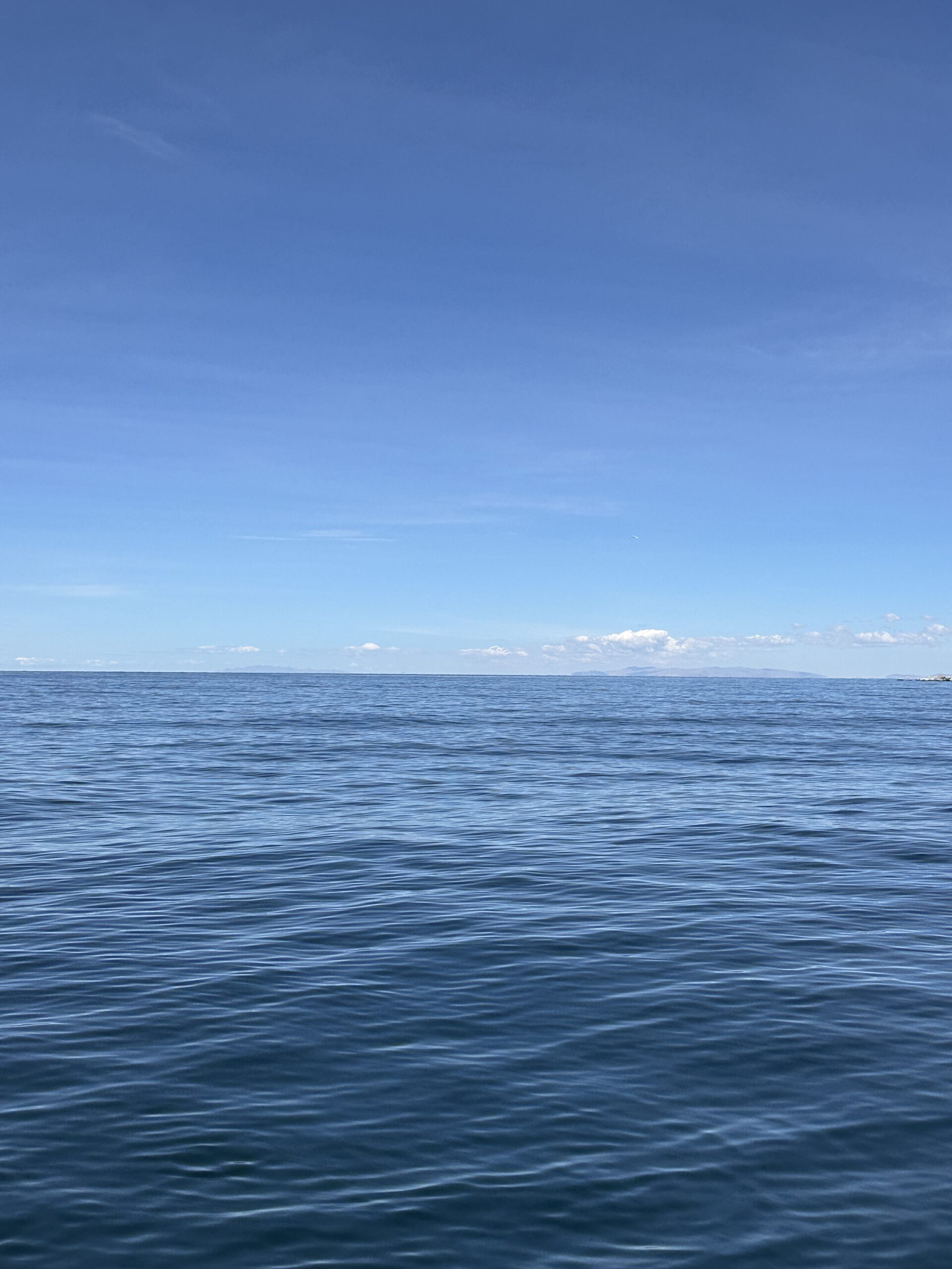 Navega hacia la calma en kayak